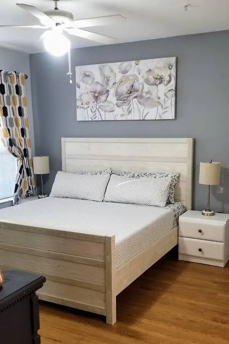 Bright And Spacious 1Bed 1Bath Condo Clearwater 0*,